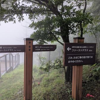 新道峠分岐(1,570m)
