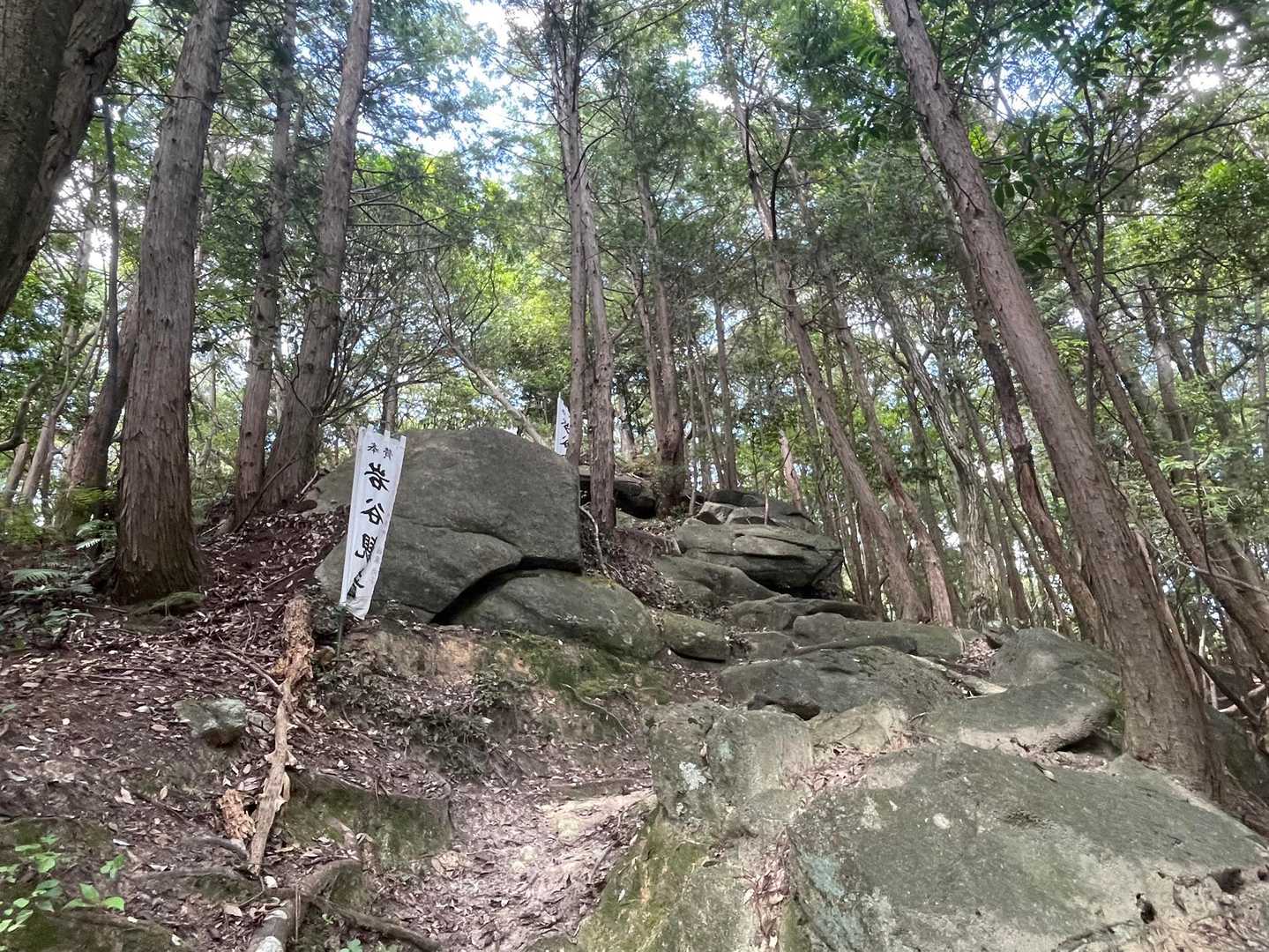 表参道入口-聖ヶ峰-奥の院裏山道入口 往復コースの写真