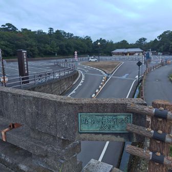 山頂の駐車場も まだまばら