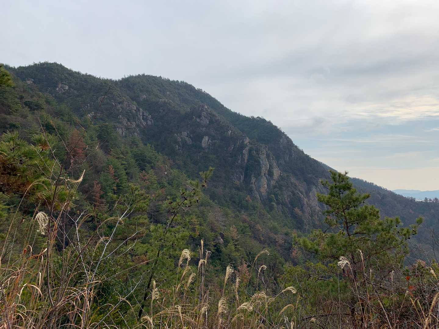 烏帽子岩山 周回コースの写真