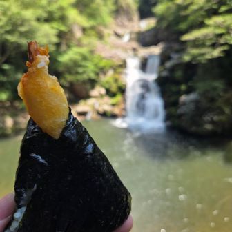 おふくろ弁当の天むす

纏わりついてくる虫がしつこい!!
払いながら🤣