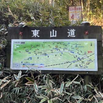 ここから登ると階段地獄が待ってます🤣🤣