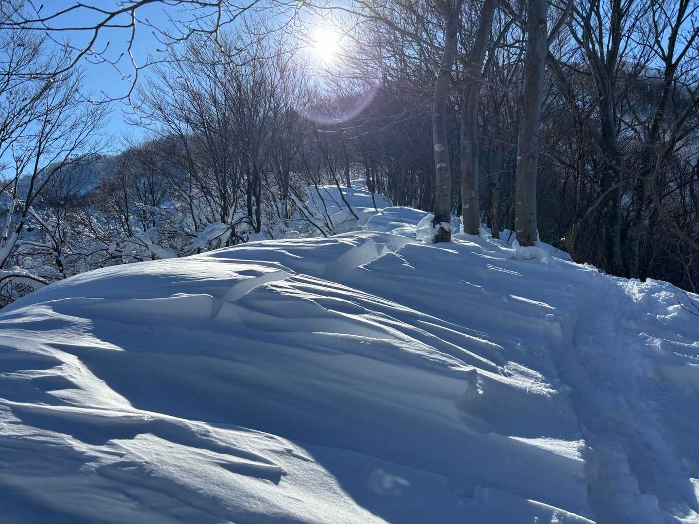 途中で頼もしい方々も合流し、皆さんどんどん進みます🥹