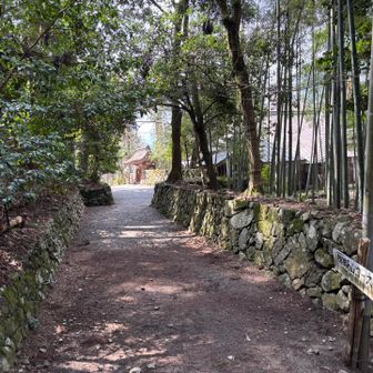 無事下山
午前中に下りれてよかったー( ´ ▽ ` )