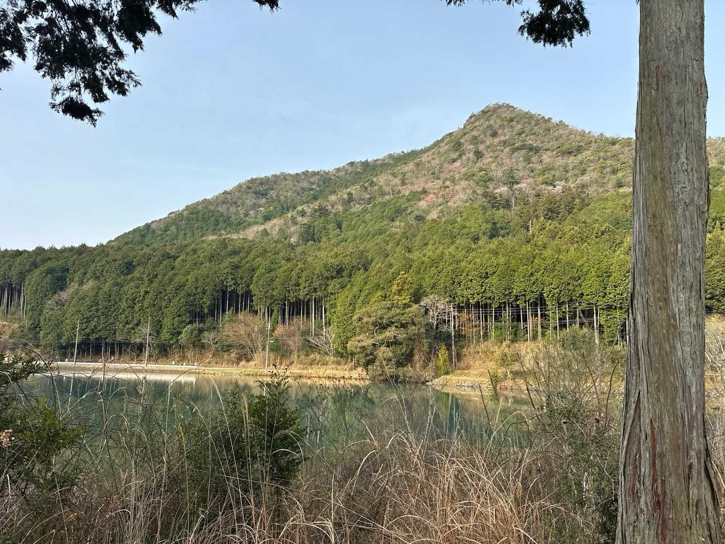 下山路はあの辺りを降ってくるんかなぁ🤔