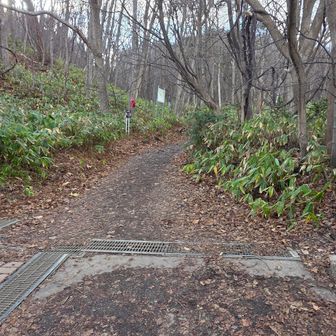 慈啓会病院登山口に寄って
