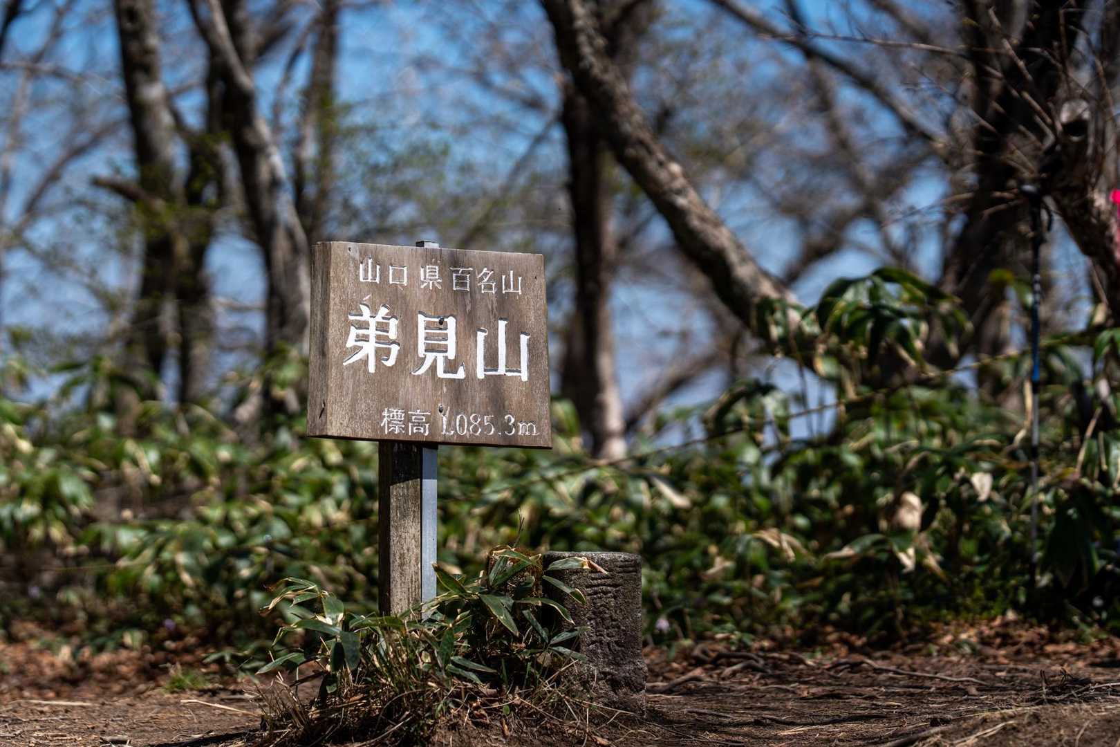 ピーク⛰️