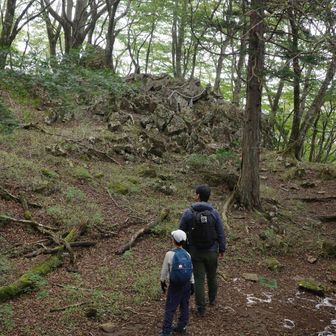 岩の群