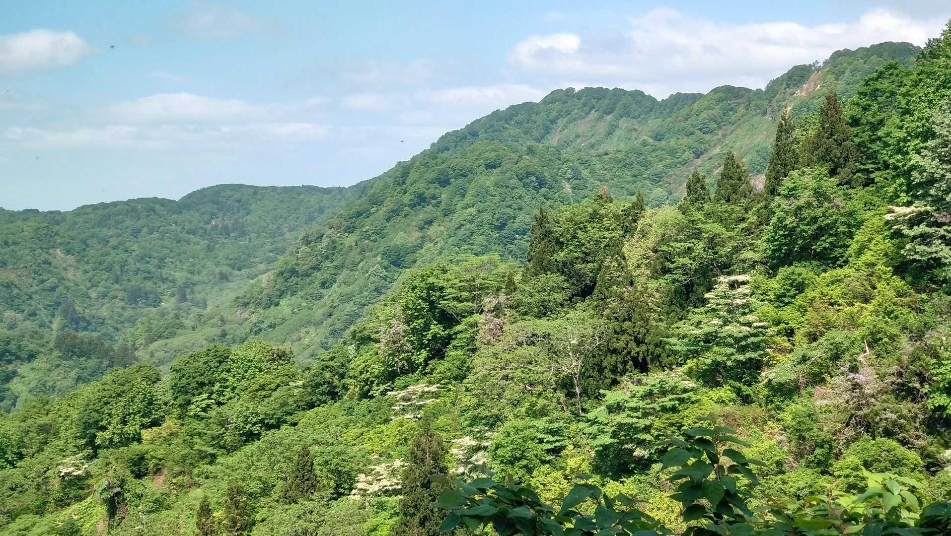 通ってきた鋸山が見えます