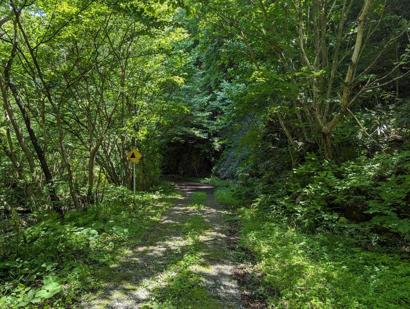 会津若松市最高峰の大戸岳。とてもいい山だった。

霊峰として歴史があり、眺望もよくて麓からもよく目立つ。東北百名山選外とはいえ、きっとギリギリで外れたのだろうと思う。