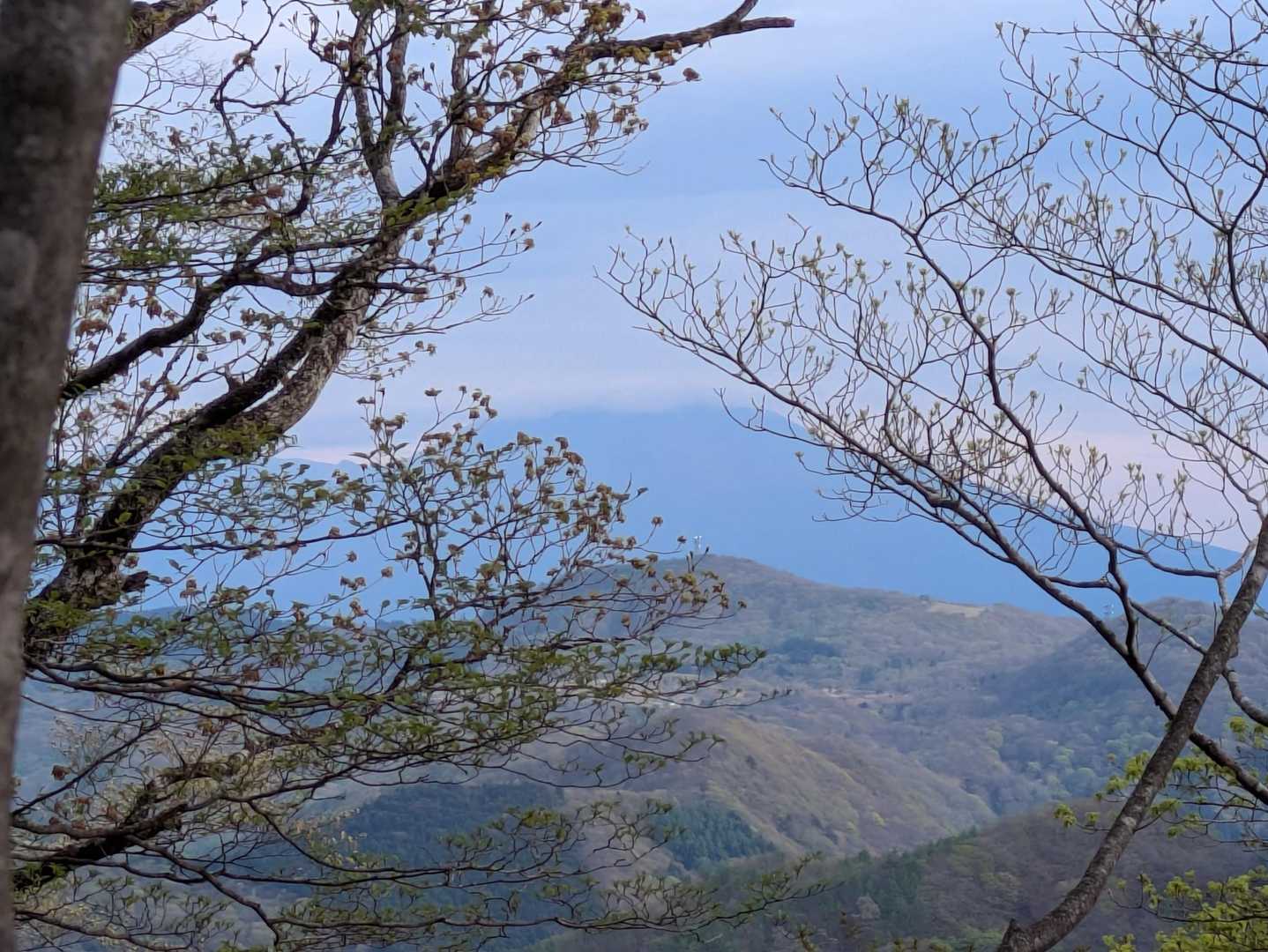 物見山の先に
浅間山👏