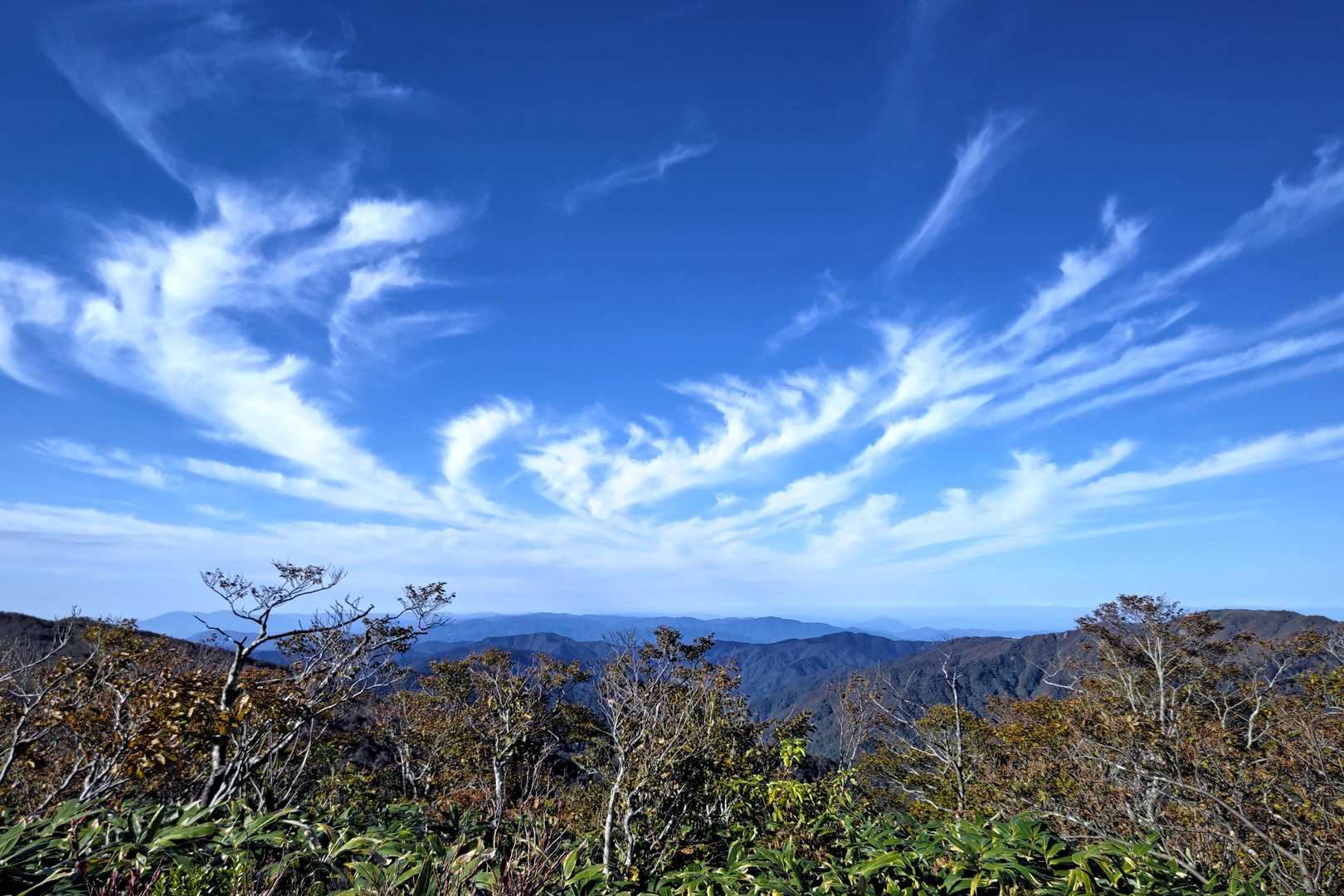 何か羽ばたいてるみたいに見える☁️
鳳凰❓