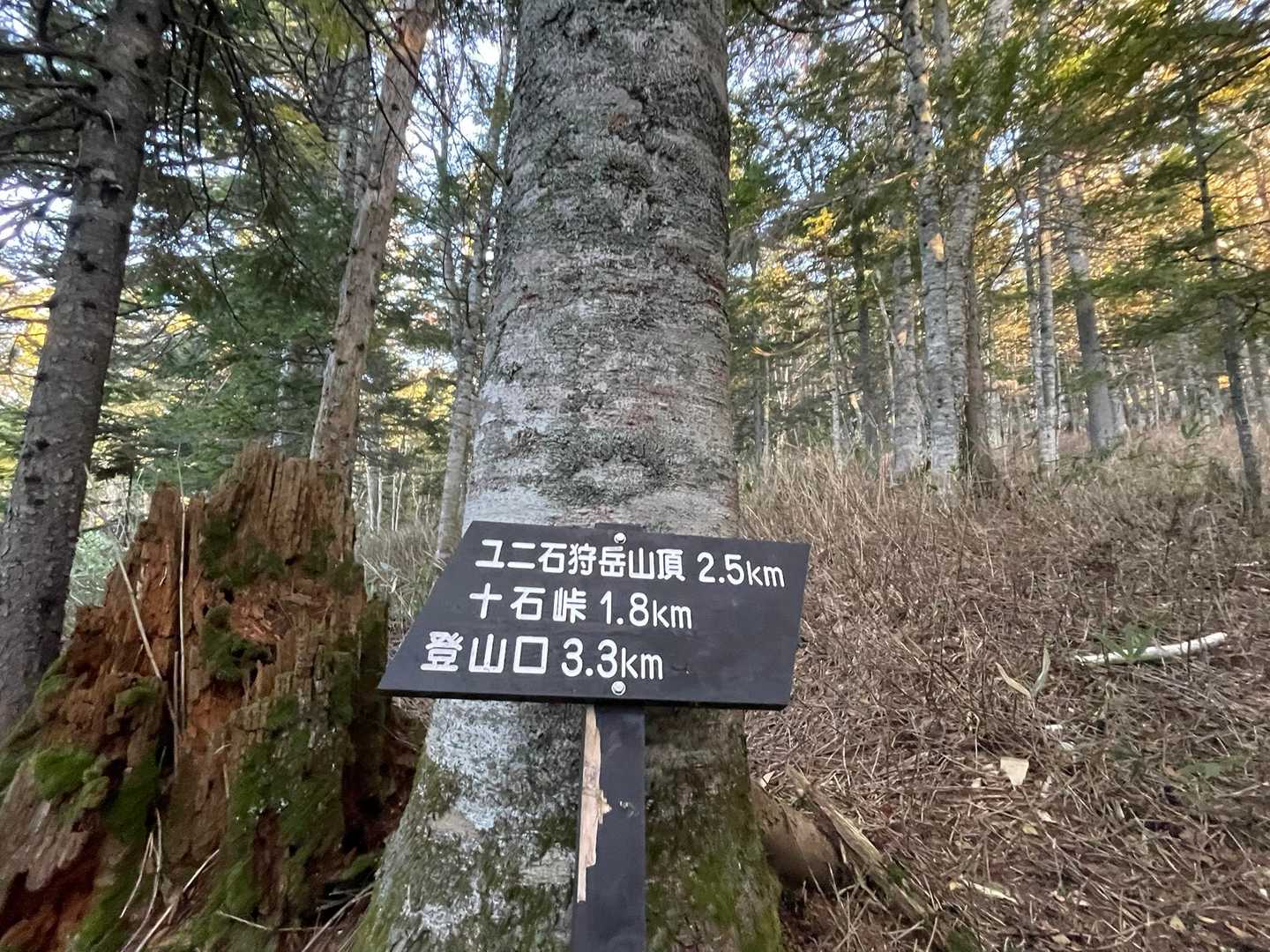 山頂まで2.5km👍