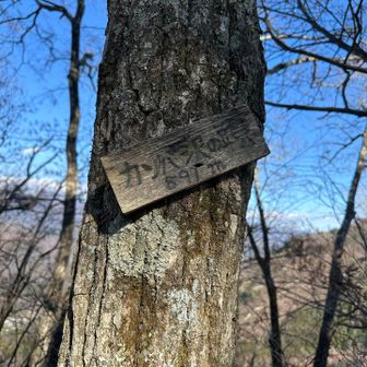 ガンバ沢の頭⛰️登頂しました🙌