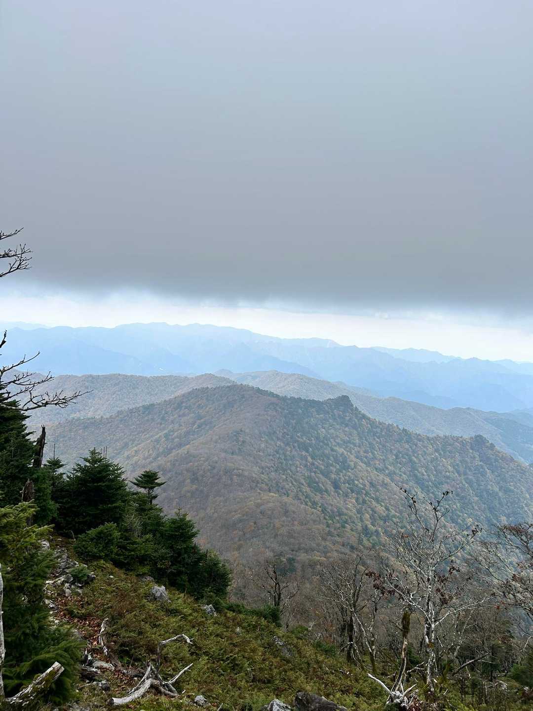 弥山登山口-弁天ノ森-聖宝ノ宿跡-弥山 往復コースの写真