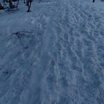 日の出を待たずに帰る
山でソリとかお尻で滑るのは反対派