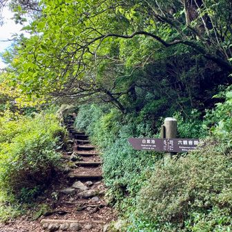 分岐