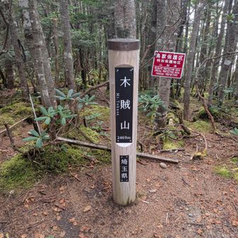 埼玉最高峰に14m足りない残念な山、、
「とくさ」とは読まれない事も合わせて残念😌