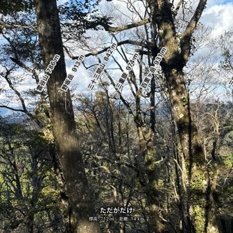 ピークから折り返して木々の向こうの山は？とかざしてみました