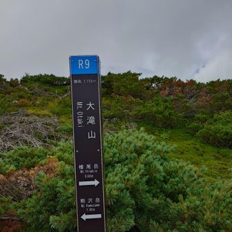 雲が出たりして怪しい💦