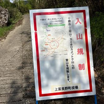 降りてきてビックリ🫢