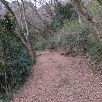 なんか、それなりに山道だぞ