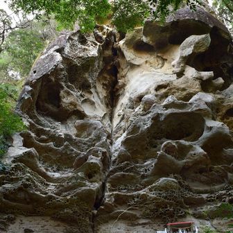 いつ見ても凄いなぁー