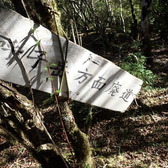 大岳から先は、廃道となっています。
いきたいような、そうでないような、です。
