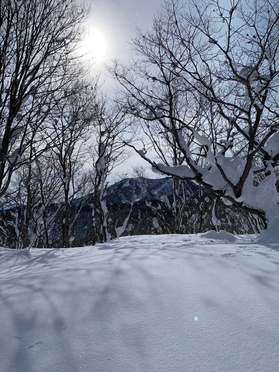 斑尾高原スキー場