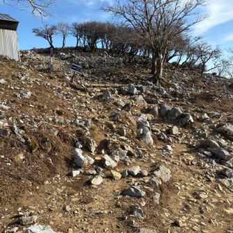 藤原山荘で少し休憩と補給してから下山します。
下りは40人以上の方とすれ違いました。
平日ですが、登りやすく人気のある山なので賑わっています。