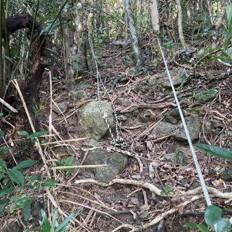 山頂手前の急傾斜。ロープはしっかりしてるので掴んでも問題無さそう