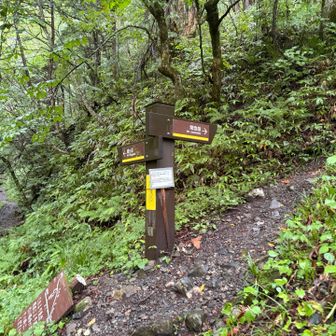 常念との分岐