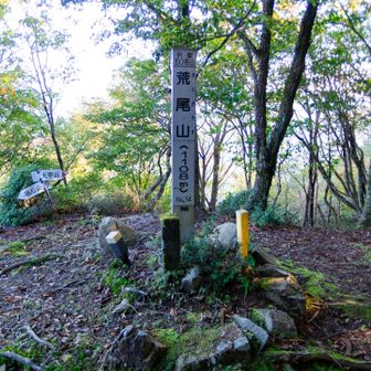 再び荒尾山山頂。