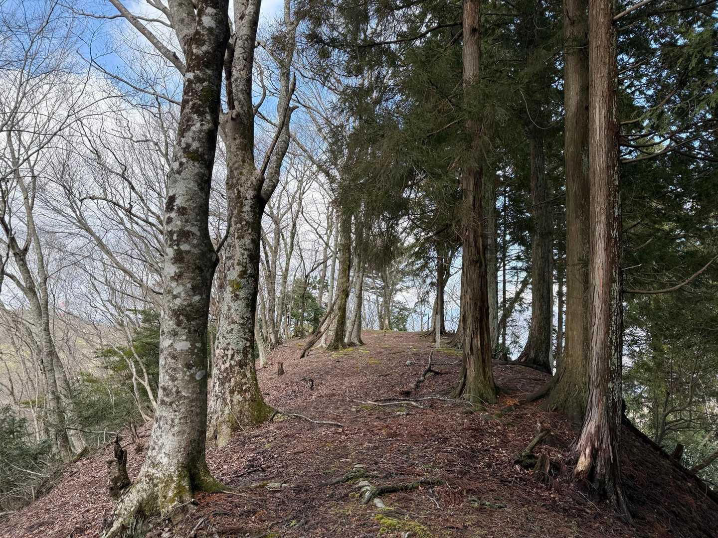 山頂 烏帽子山城跡
平坦で段々が有って周りの傾斜がエグい  いかにも な地形
