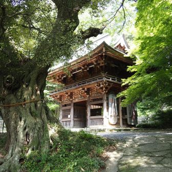 薬王院