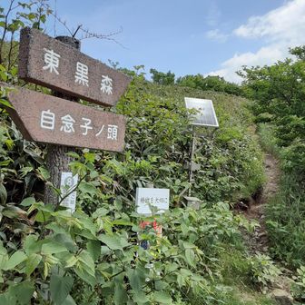 東黒森から西黒森が結構距離ありましたね