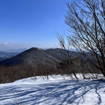 比婆山系は天気良しで
コチラは伊良谷山と牛曳山⛰️