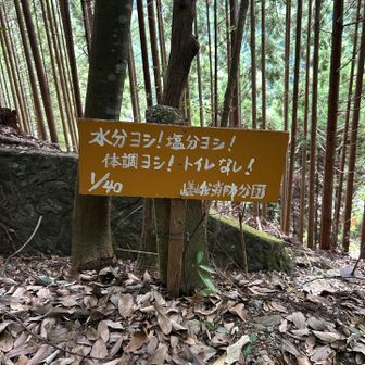 気を紛らわせてくれる