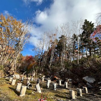 2年前に焼失してしまった小屋跡
