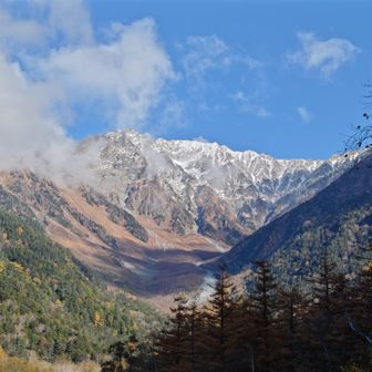 ユーザーbei342929