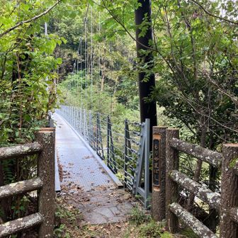 登山口の吊橋。丸太橋や発電所の吊橋の後だとかなりの安心感