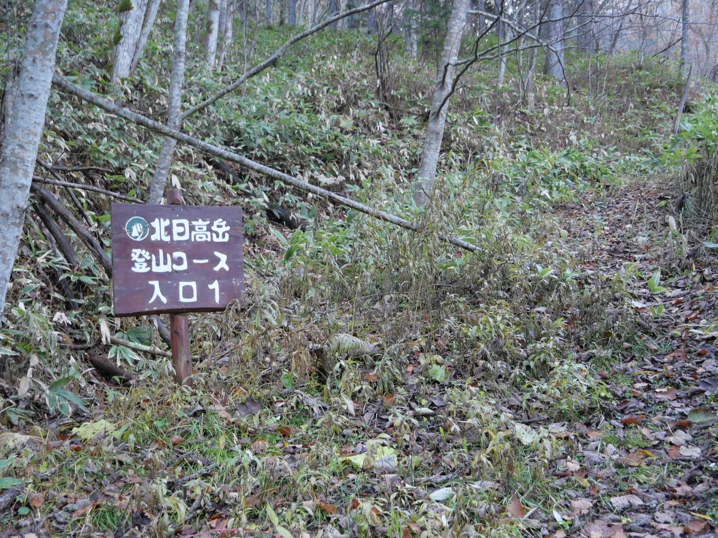 ここから登山道に入ります・・