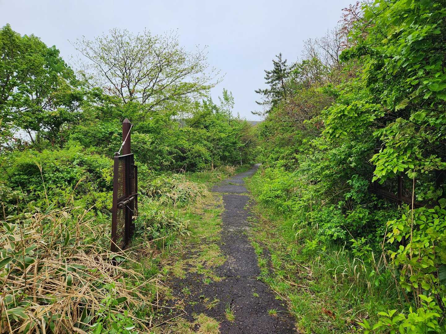 昔は使用されていたと思われるゲート有り。
🚙だとムリっぽい道幅かな。