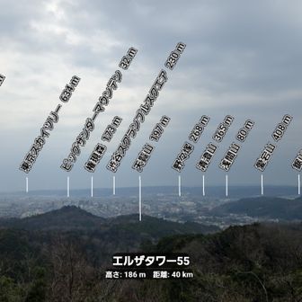 天覧山を中心とする山並みです。