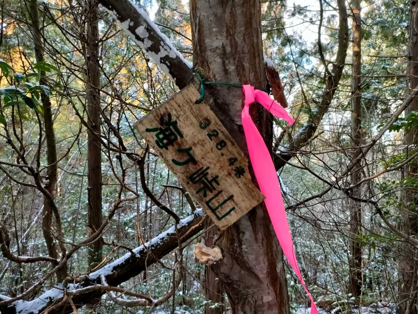 海ヶ峠山のプレートが有った。