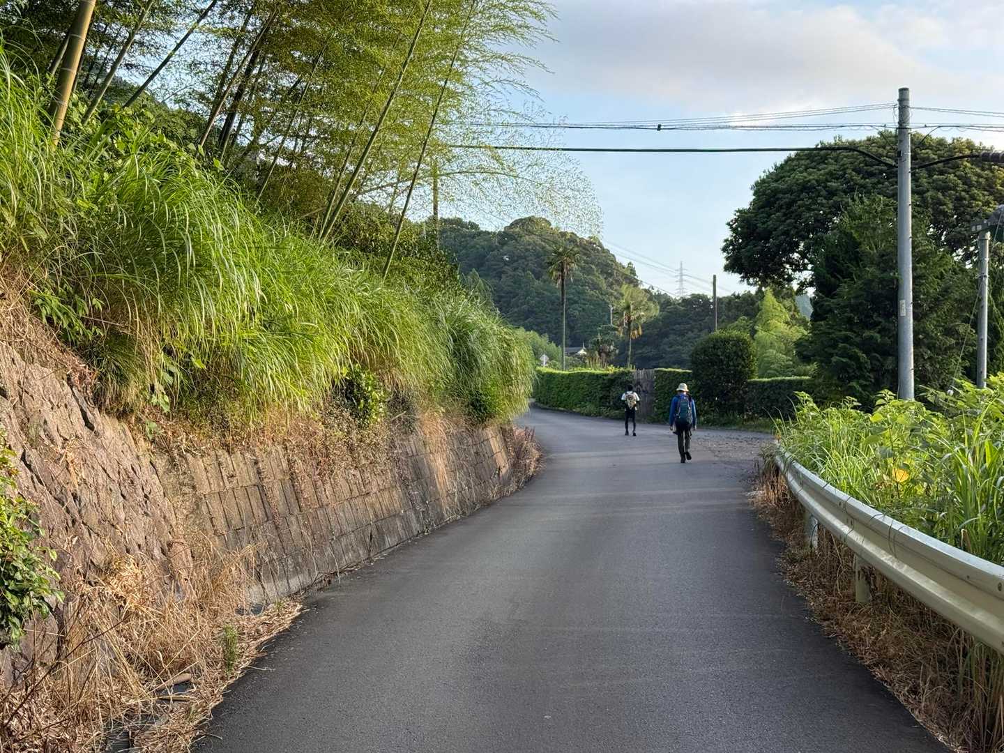 先行者も多い