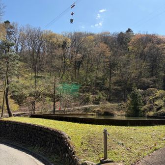 舗装道路に出ました