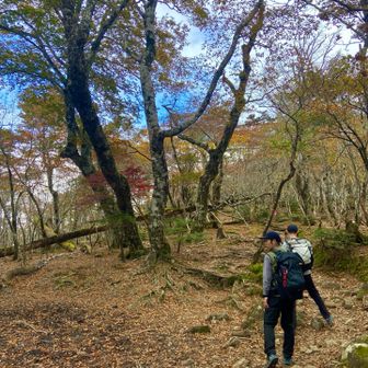 下りも歩幅合わせてくれてる😊