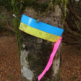 伊豆山稜線歩道の看板