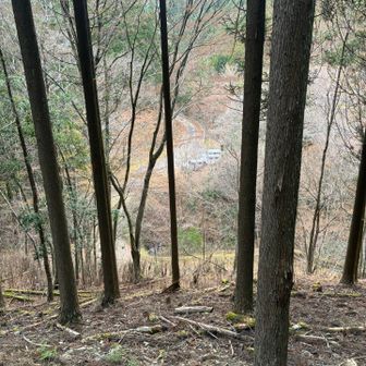 ヒィヒィヒューヒュー言いながら下ってきて
やっと車見えた
この部分のマップ見てみて、コンタの詰まり方が半端ない